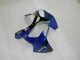 Bleu Carénages Moto ZX6R 00-02