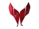 Carénage Moto Ducati 1199 2011-2014 - Rouge