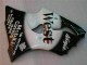 Noir West Ninja Carénage Moto ZX6R 00-02 Noir West Ninja Carénage Moto ZX6R 00-02