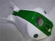 Vert Blanc Carénage Moto CBR 1000 RR 04-05