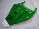 Vert Blanc Carénage Moto CBR 1000 RR 04-05
