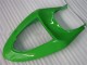 Vert Carénages Moto ZX6R 05-06 Vert Carénages Moto ZX6R 05-06