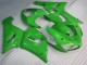 Vert Carénages Moto ZX6R 05-06 Vert Carénages Moto ZX6R 05-06