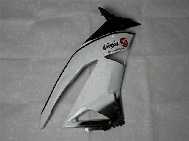 Vert Noir Blanc 25 Carénage Moto ZX6R 09-12