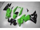 Vert Noir Carénage Moto EX650 09-11