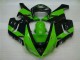 Vert Noir Carénage Moto ZX6R 05-06 Vert Noir Carénage Moto ZX6R 05-06
