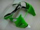 Vert Noir Carénages Moto & Carrosserie ZX6R 00-02