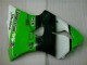 Vert Noir Carénages Moto & Carrosserie ZX6R 00-02