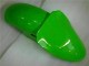 Vert Noir Carénages Moto & Carrosserie ZX6R 00-02