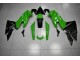 Vert Noir Carénages Moto EX650 09-11 Vert Noir Carénages Moto EX650 09-11