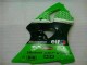 Vert Noir Carénages Moto ZX6R 00-02 Vert Noir Carénages Moto ZX6R 00-02
