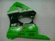 Vert Noir Carénages Moto ZX6R 00-02 Vert Noir Carénages Moto ZX6R 00-02