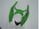 Vert Noir Carrosserie Moto ZX6R 09-12