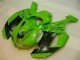 Vert Noir Dunlop Carénage Moto ZX6R 07-08 Vert Noir Dunlop Carénage Moto ZX6R 07-08